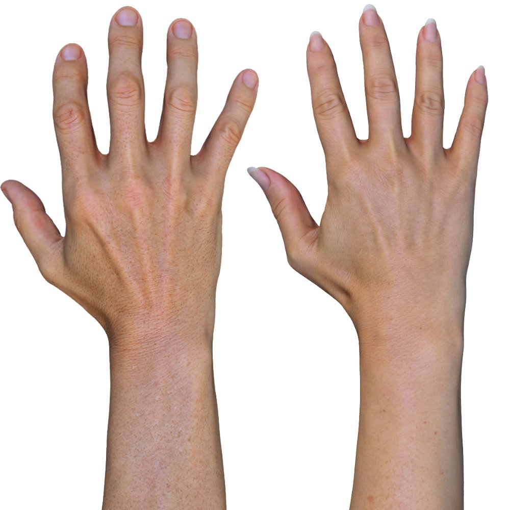 2 x Male And Female 3D Hand Models / White 40 Years Old